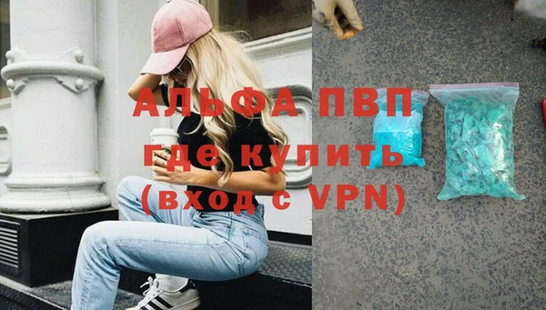 индика Семикаракорск